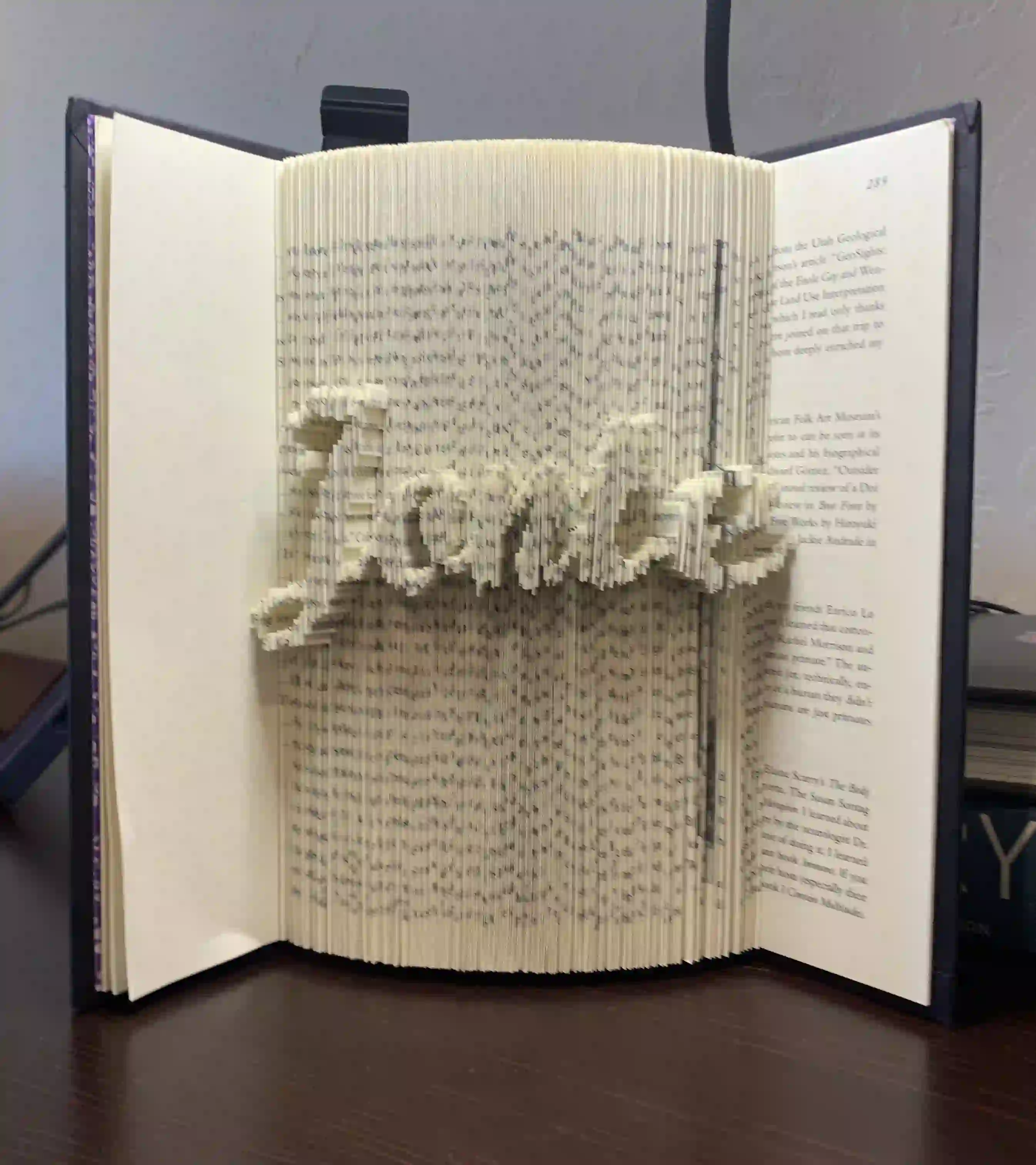 Book Fold